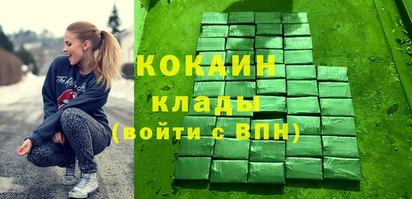 индика Аркадак