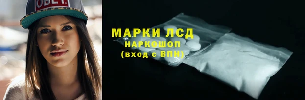 индика Аркадак
