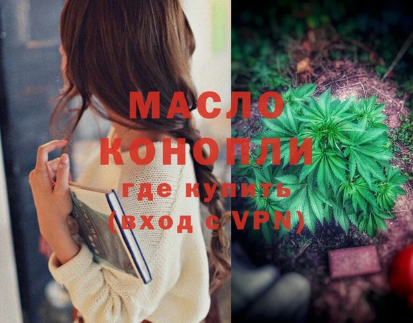 молекула духа Балахна