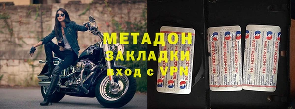 индика Аркадак