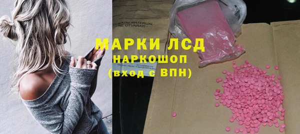 индика Аркадак