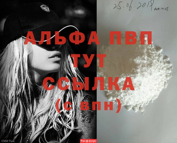 индика Аркадак