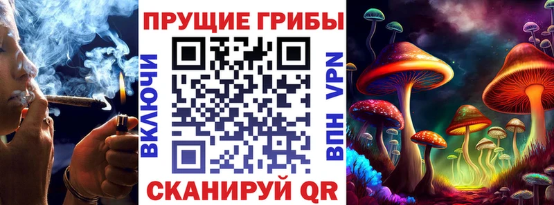 Псилоцибиновые грибы прущие грибы  Ельня 