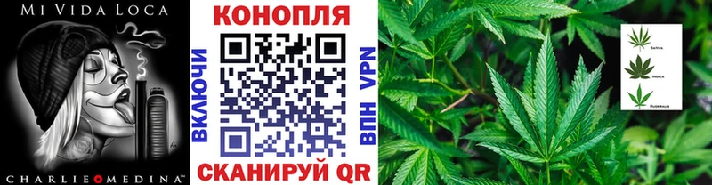 Каннабис White Widow Ельня