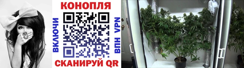 даркнет сайт  Ельня  Шишки марихуана OG Kush 